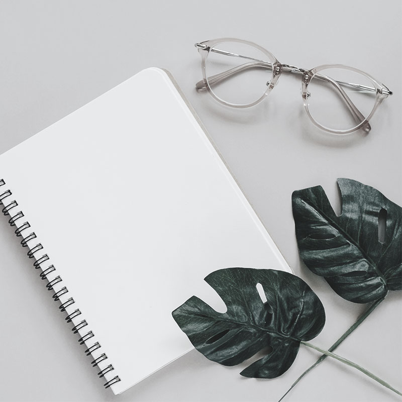 cahier, lunettes et plante